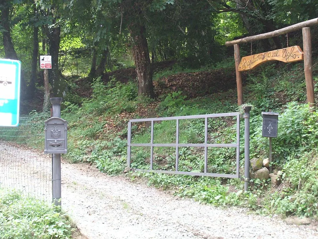 Agriturismo Il Tiglio Guest House Coreglia Antelminelli Country house